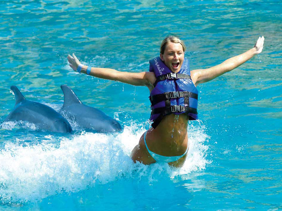 Nado con Delfines en Cancún Isla Mujeres